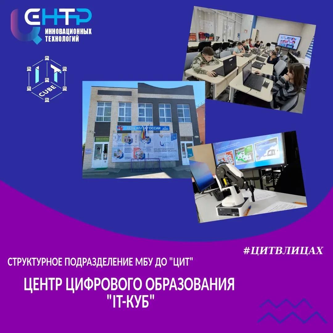 #ЦИТВЛИЦАХ.